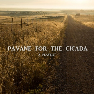 pavane for the cicada