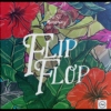 Flip Flop!