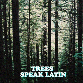 trees speak latin