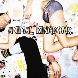 ANIMAL KINGDOMS (side a.)
