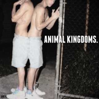 ANIMAL KINGDOMS (side b.)