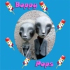 Boppy Pops