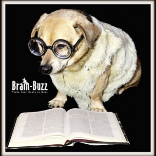 ✍ Brain Buzz For STUDY