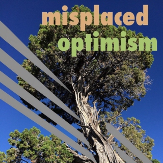 Misplaced Optimism