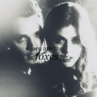 we are the foxes;