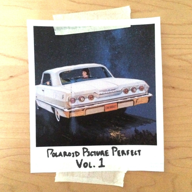 Polaroid Picture Perfect Vol. 1