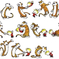 Calvin & Hobbes - Bill Watterson 