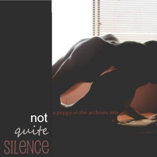 Not Quite Silence