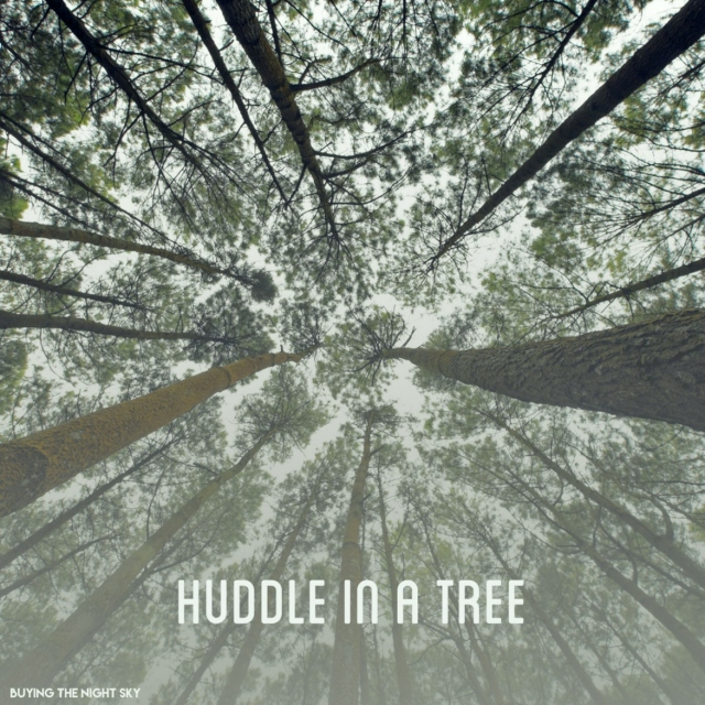 huddle in a tree