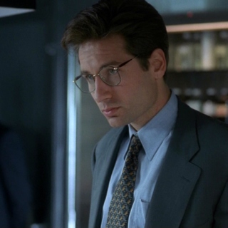 Do You Think I'm Spooky? : A Fox Mulder Playlist 