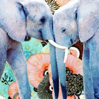 Elephant Kisses