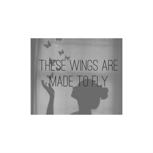 These Wings Are Made To Fly