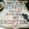 Backdoor hippy
