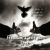 Freedom's Not So Free - A Harry Potter ficmix