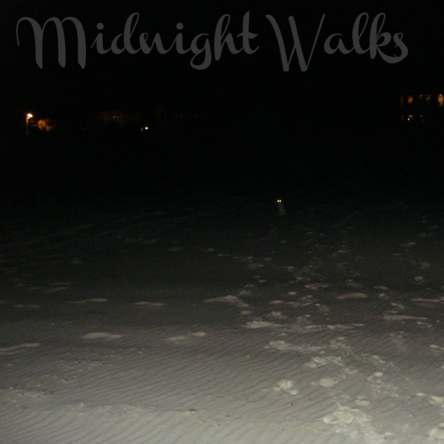 Midnight Walks