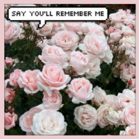 say you'll remember me