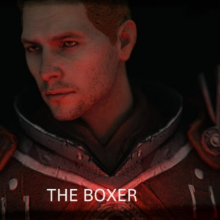✦ The Boxer ✦