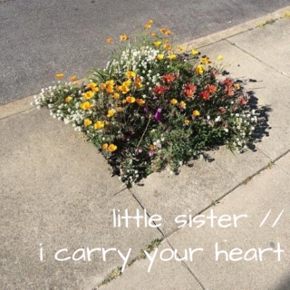 little sister // i carry your heart