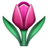 for tulip