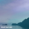 Black Leaf Falls [a hxh chimera ant arc fanmix]