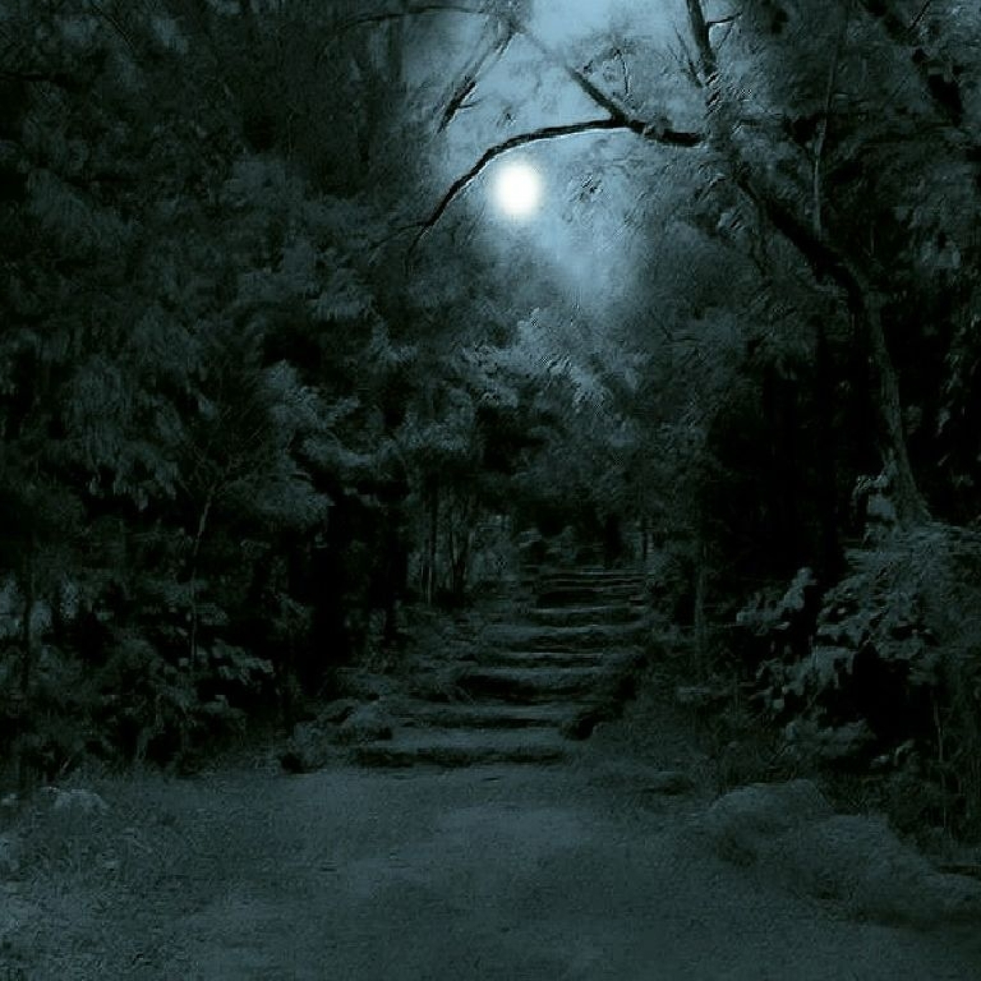 Dark scene. Темный лес the Woods 2005. Страшный лес ночью. Мрачное место. «Ночь в лесу».