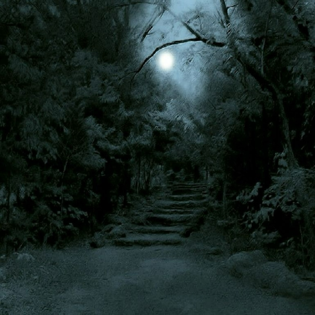 Ночной тропой постой а можно. Темный лес the Woods 2005. Страшный лес ночью. Мрачное место. «Ночь в лесу».