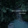 bad moon rising