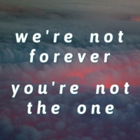 we're not forever, you're not the one