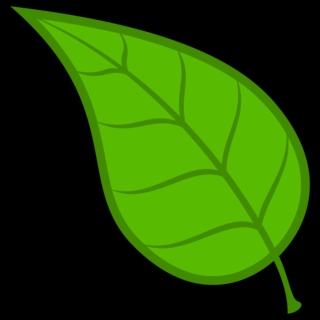 for leaf
