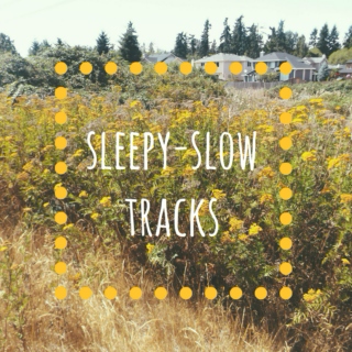 sleepy-slow tracks