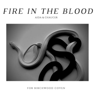 FIRE IN THE BLOOD