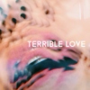 TERRIBLE LOVE