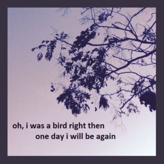 oh i was a bird right then, one day i will be again