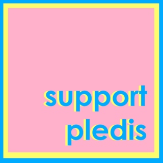 Support Pledis
