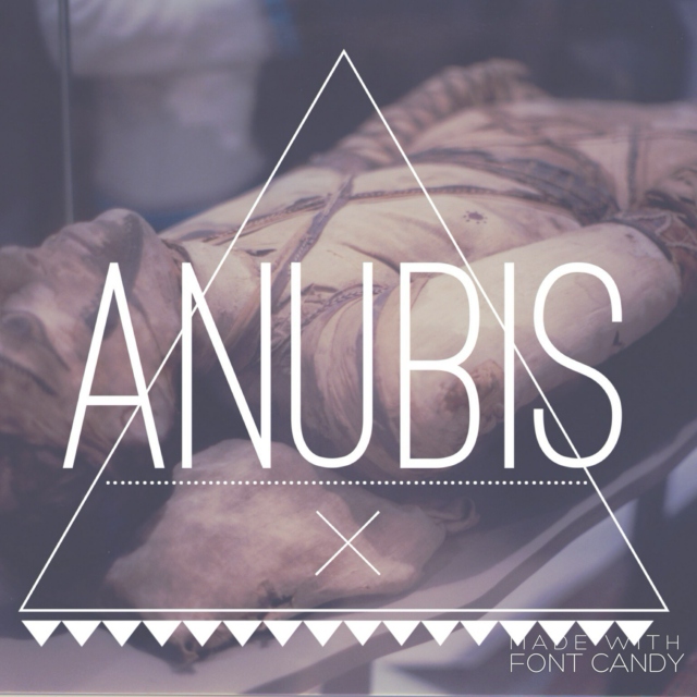 THE DIVINE COLLECTIVE: ANUBIS