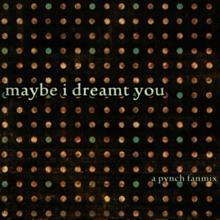 maybe i dreamt you