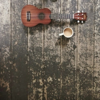ukulele covers