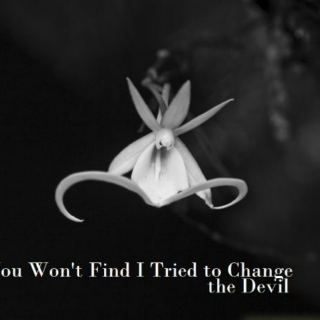 You Won't Find I Tried to Change the Devil