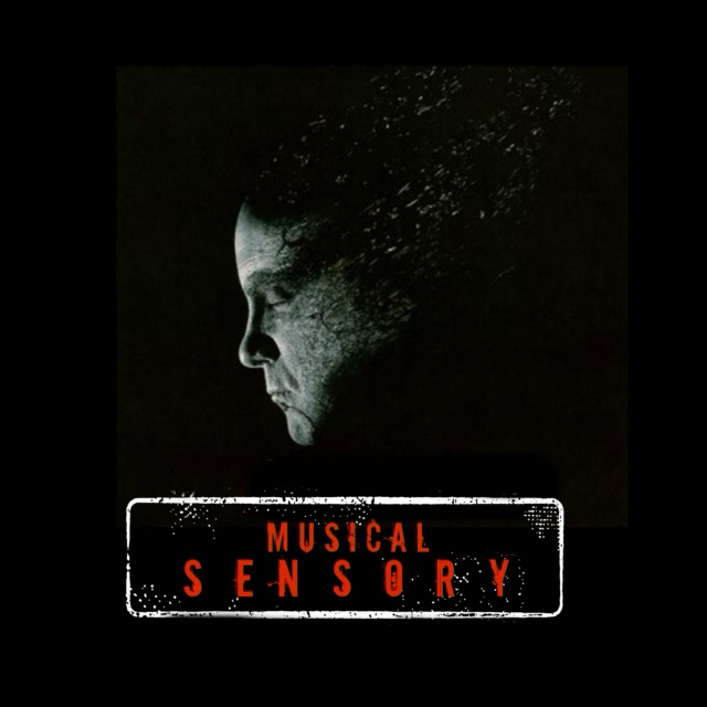 Musical Sensory