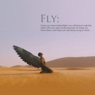 Fly;