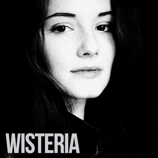 Wisteria