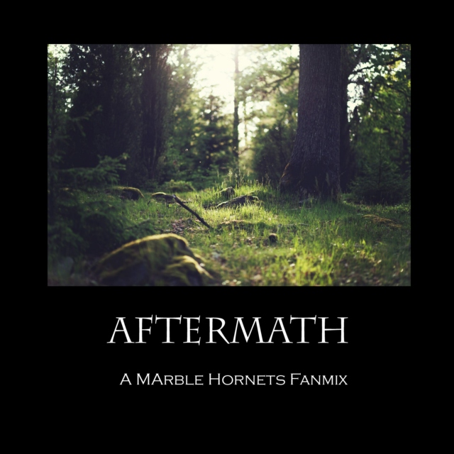 Aftermath - A Marble Hornets Fanmix