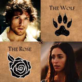 The Wolf & The Rose