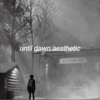 until dawn aesthetic