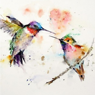 Hummingbird Mix