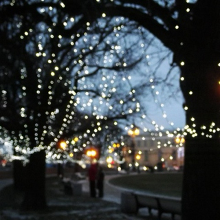 Lights on Trees