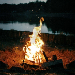 Bonfires & Fireflies