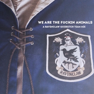 we are the fuckin animals ; ravenclaw quidditch mix