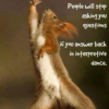 Squirrel knows the answer...