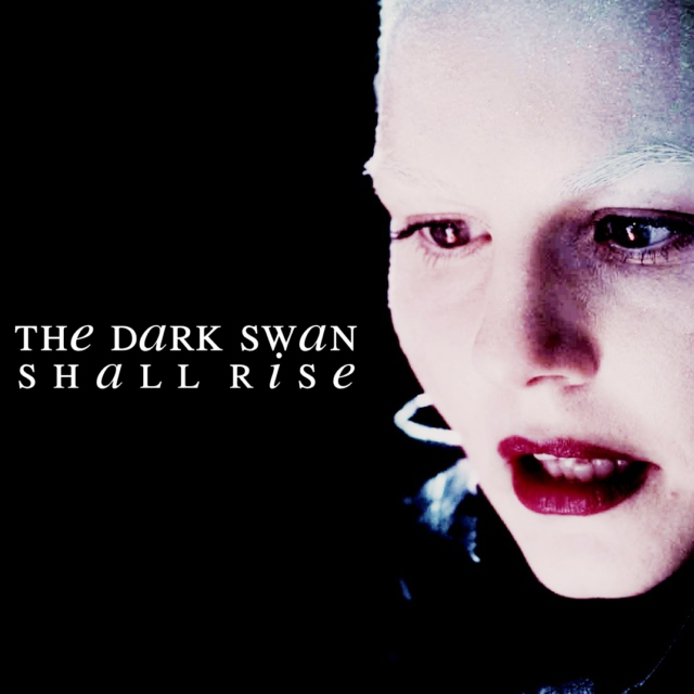the dark swan shall r i s e;